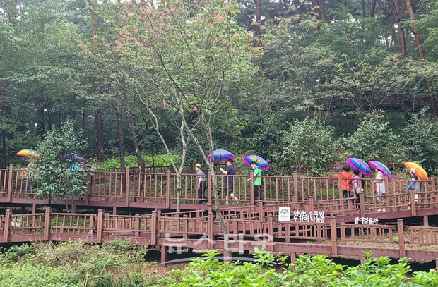 무지개 우산대여