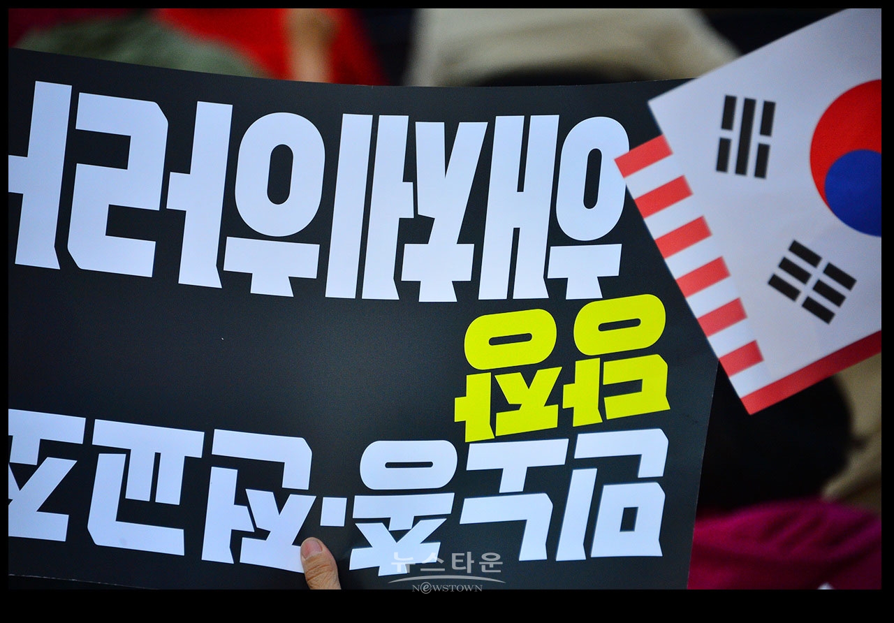 광화문을 완전 점령한 애국우파국민들