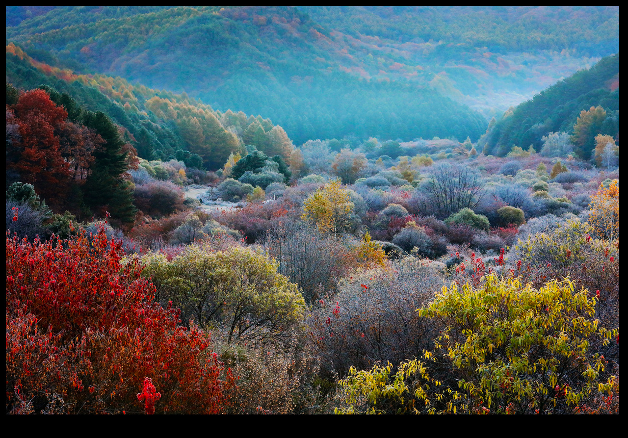 인제 시크릿가든