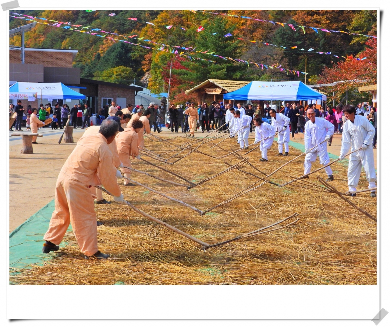 지난 2020년 자료사진