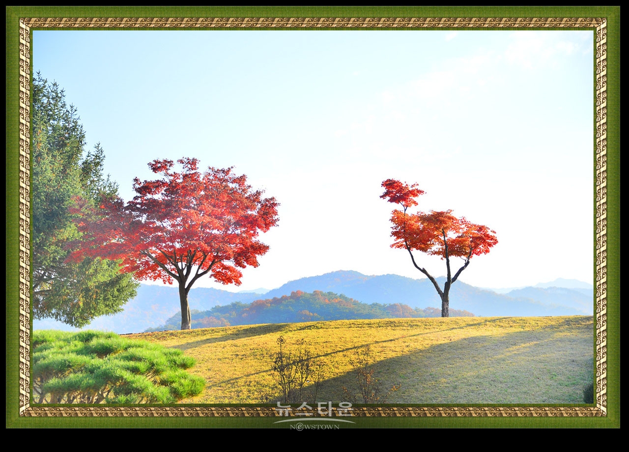 연세대 미래캠퍼스의 가을풍경