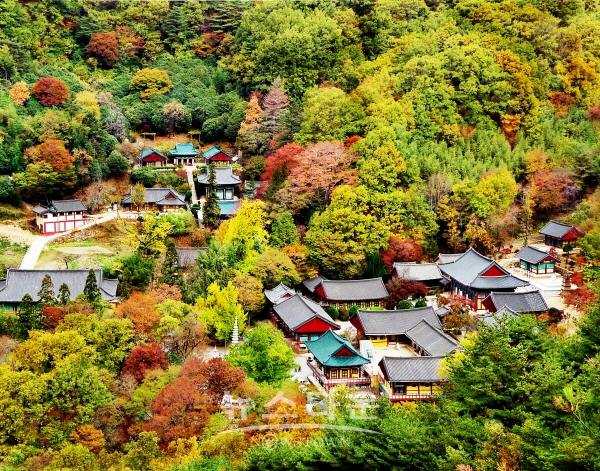 하동 쌍계사 전경