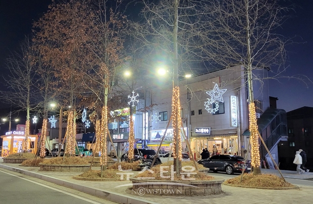 수목 은하수 조명과 눈꽃 조명 설치