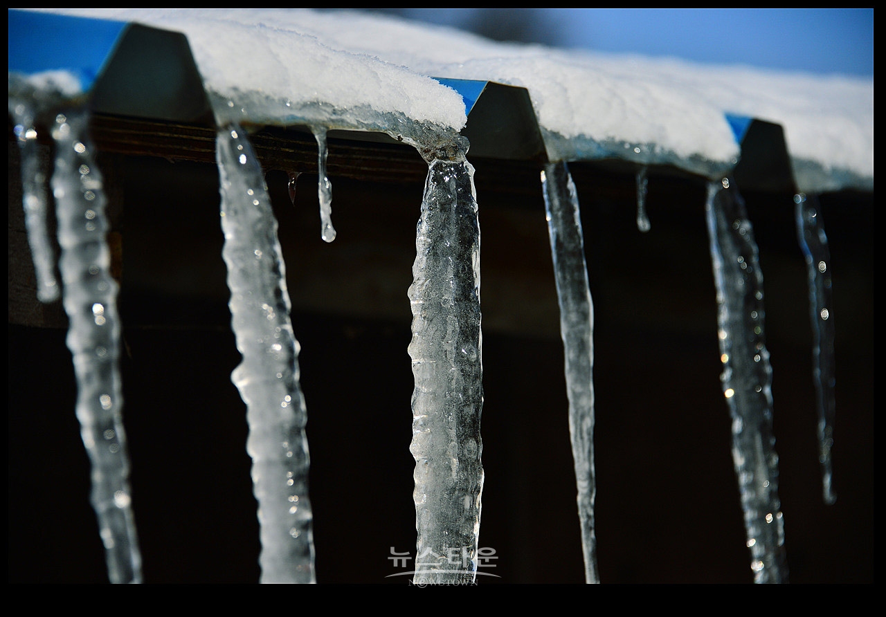 고드름이 열렸어요