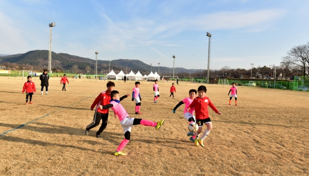 알천구장에서 축구 동계훈련 사진