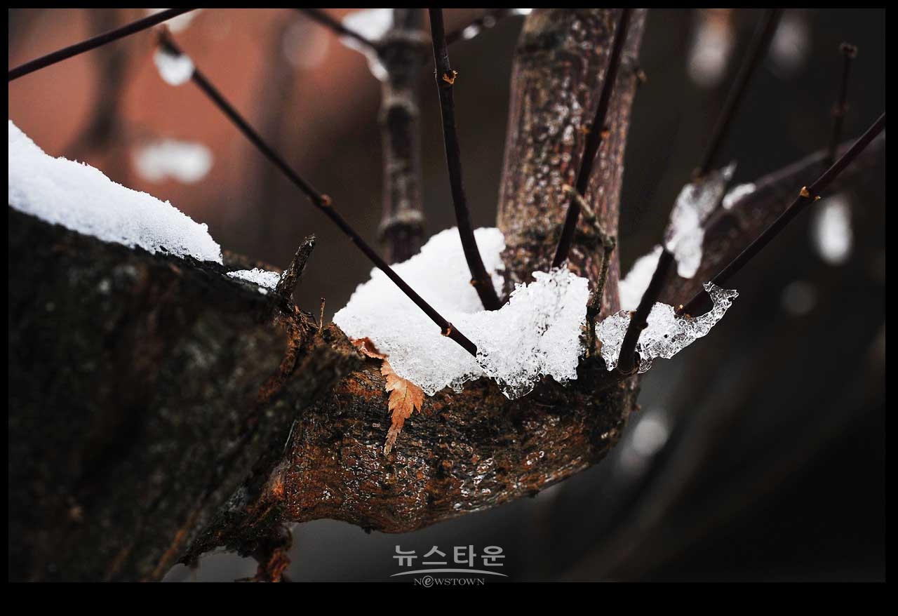 동네 겨울를 보다