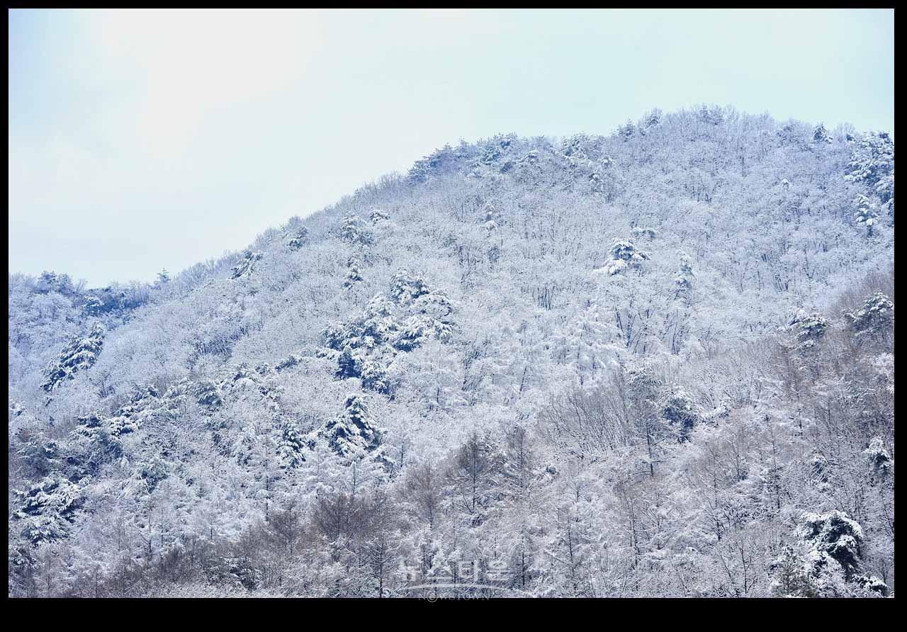 동네 겨울를 보다