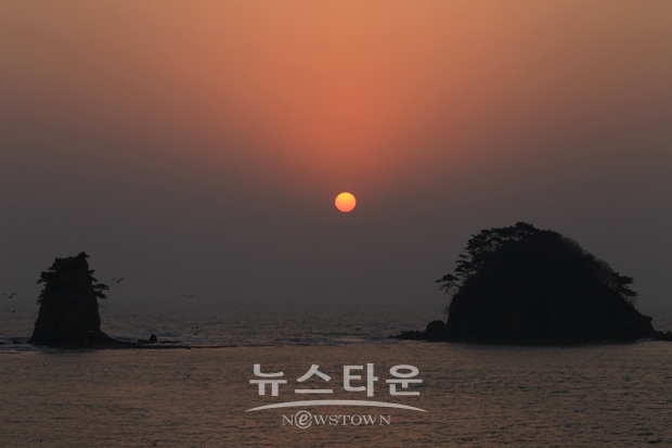 드론 사진(태안 꽃지)