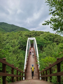 숲길(문수산)