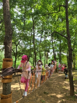산림교육