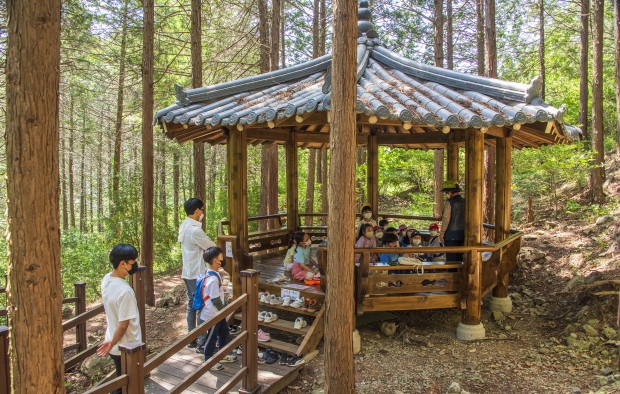 건천편백나무숲에서 숲해설가가 방문객들을 대상으로 숲해설을 진행하고 있다.