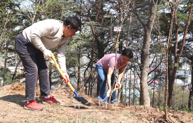 아산 남산 안보공원 나무심기 행사
