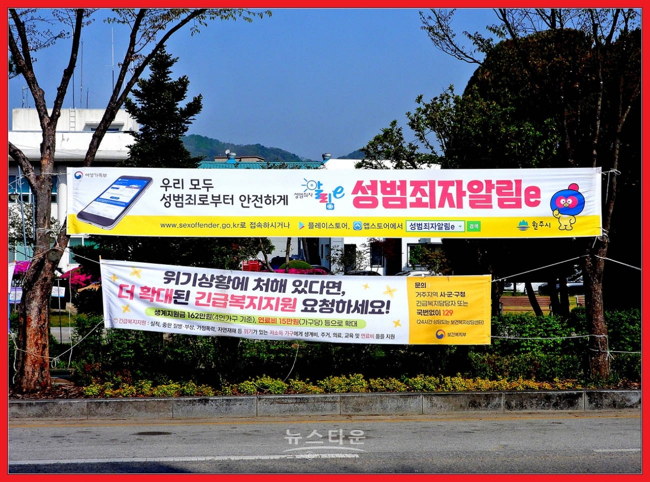 원주시 현수막관리 엉망진창