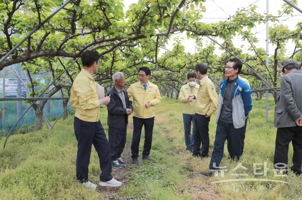 고창군청 제공