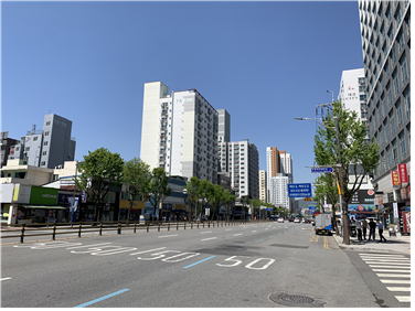 인천지역 원도심 가로수의 탄소흡수 기능 조사 현장 전경(부평구 부평대로)
