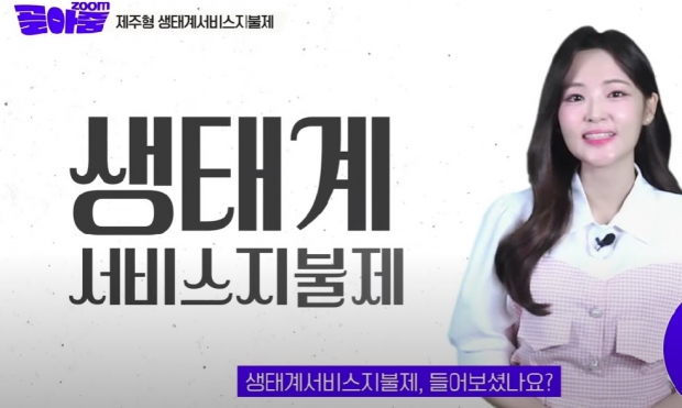 제주도 홍보 비디오 일부 갈무리