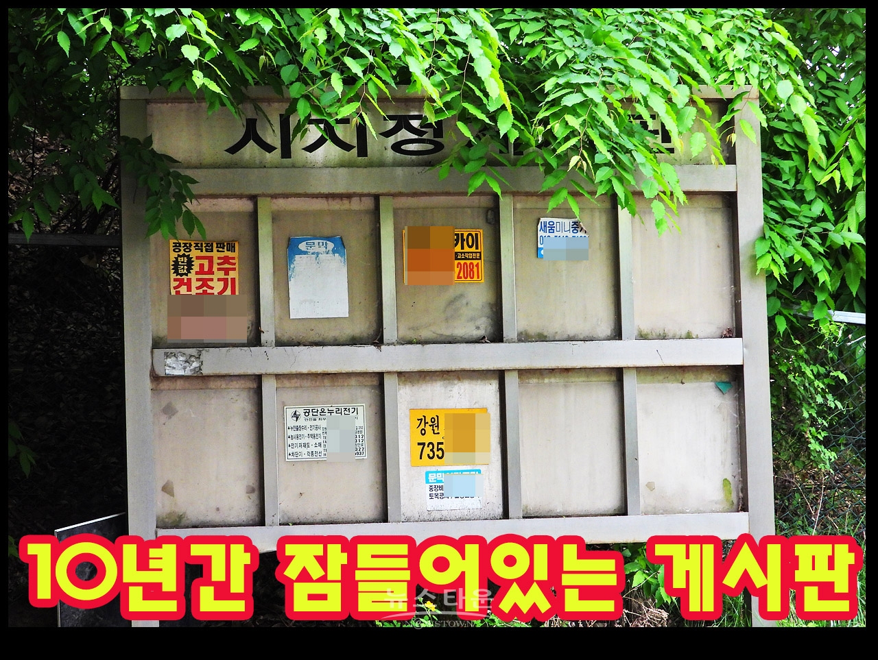 10년간방치한 市 지정게시판