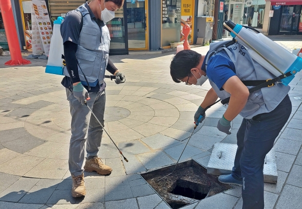 경주시가 시가지 및 관광단지를 대상으로 하루살이 및 깔다구 퇴치를 위한 특별집중방역에 나섰다.