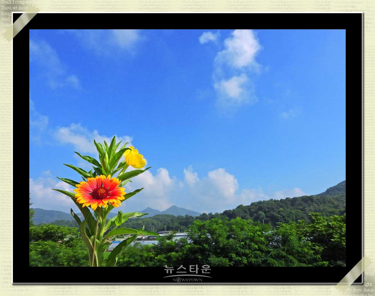 아침에 만난 동네풍경