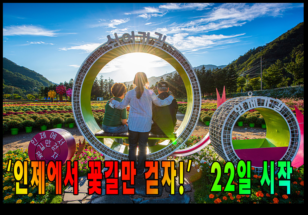 사진 : 인제군청제공
