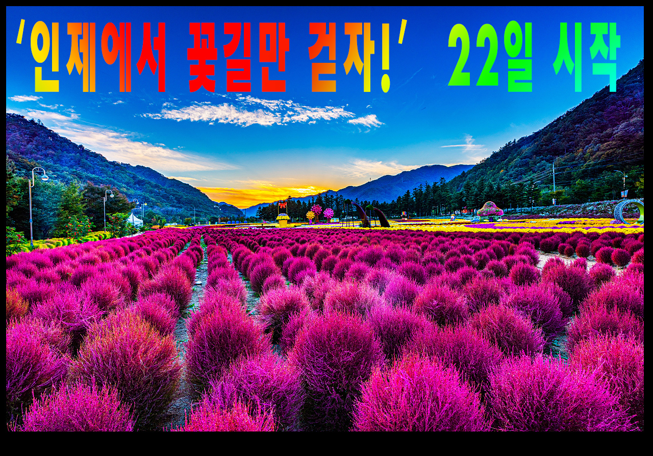 사진 : 인제군청제공
