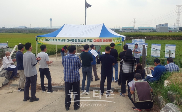 신품종 벼종자 품평회