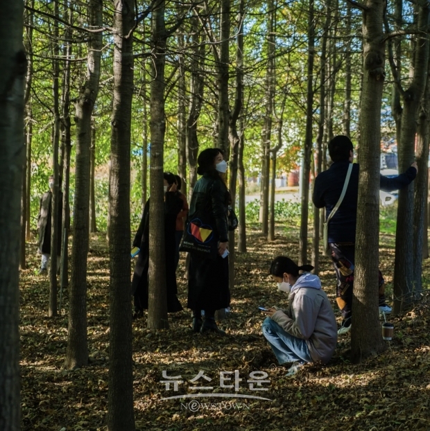 강화 유니버스 잠시섬 '모험가형' 프로그램/인천시