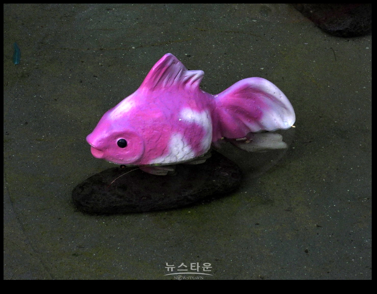 동화수목원 자료사진
