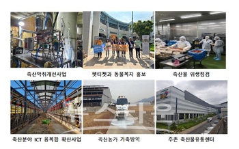 축산발전사업 로드맵
