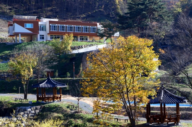 비학산자연휴양림 숲속의집 전경