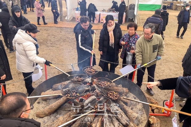 제7회 겨울공주 군밤축제(대형화로 알밤 구워먹기)