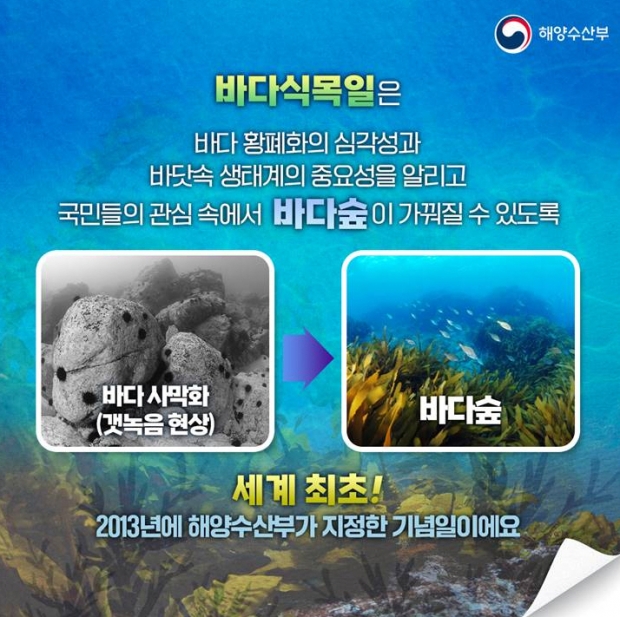 바다식목일 홍보물 / 사진출처 : 해양수산부