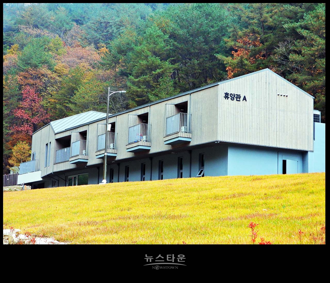 인제 갯골휴양림