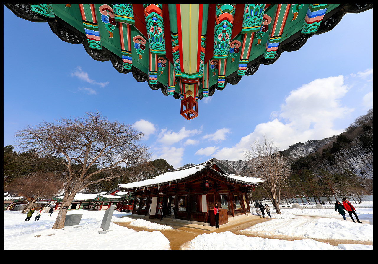 사진제공 : 인제군청