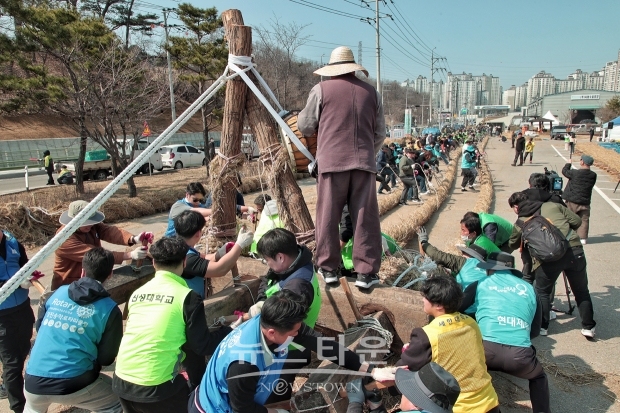 기지시줄다리기 큰 줄 제작