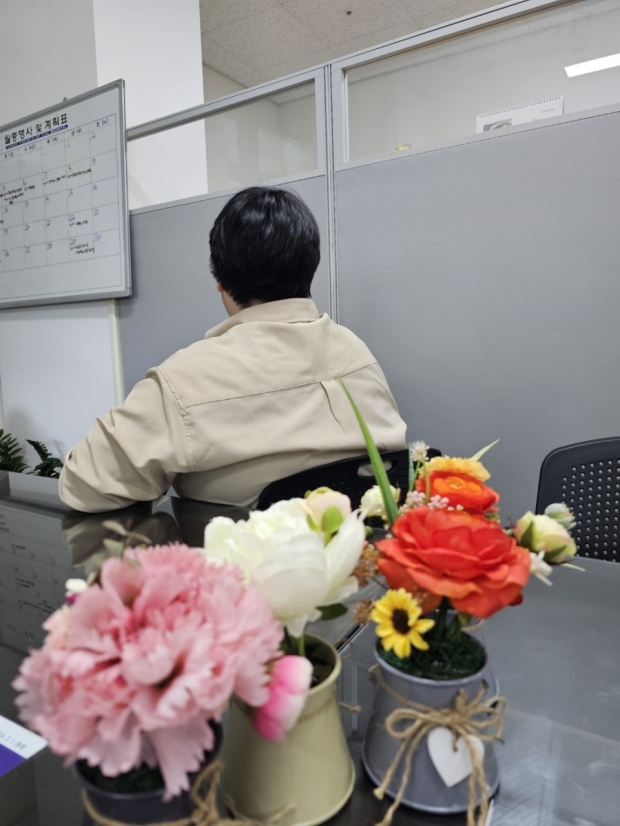 알파리 작가