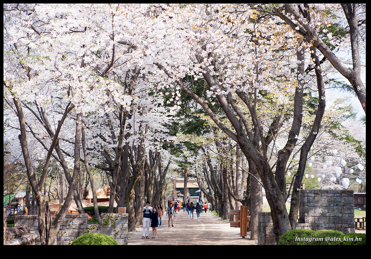 사진 : 남이섬제공