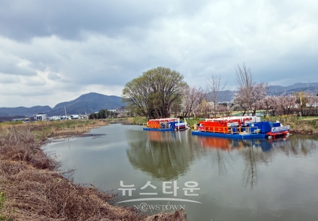 녹조복합제거장치