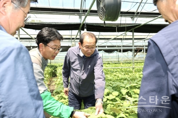 강병삼 제주시장은 9일 1차산업 경쟁력 강화를 위해 구좌읍 김녕리 시설채소 하우스와 하도리 배수개선사업 현장을 잇따라 방문, 관계자들을 격려하고 애로사항을 청취했다./ 제주시청 제공