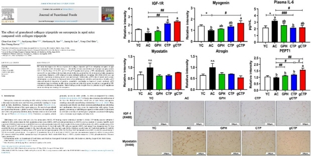 사진설명: ‘Journal of Functional Foods’에 게재된 ‘저분자콜라겐펩타이드 AG’ 기능성 연구결과