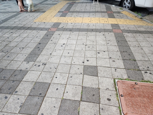 미관광장 입구 인도에 껌딱지가 10년 이상은 된 것으로 보인다.