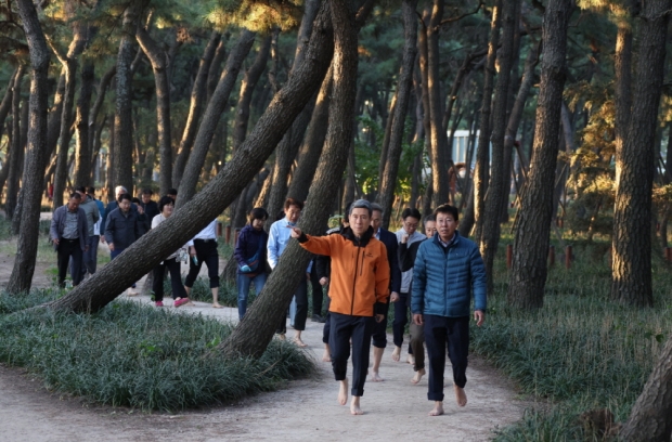 송도솔밭 도시숲에서 맨발걷기를 하고 있는 이강덕 포항시장과 간부공무원
