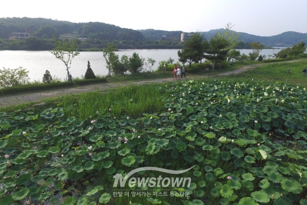 신정호수공원