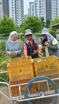 꽃동네회관 채소 기부활동 사진