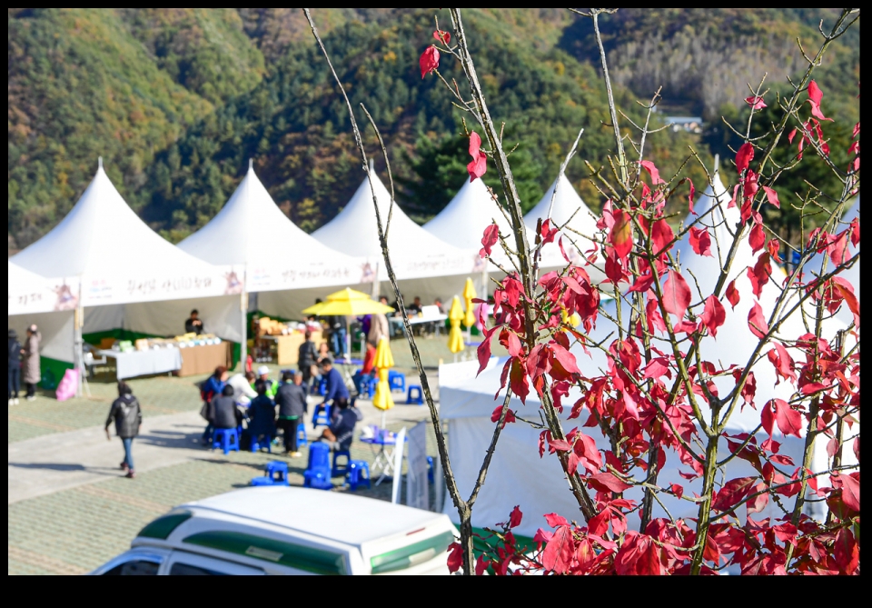 지난해 자료사진