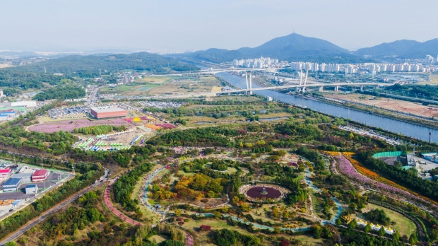 과거 국화축제 사진