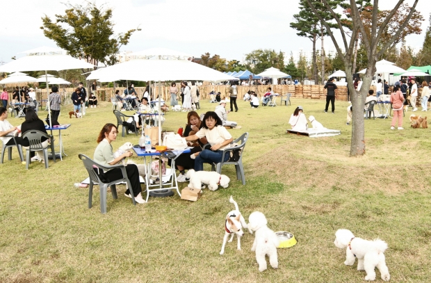 지난해 반려동물 페스티벌 행사 사진