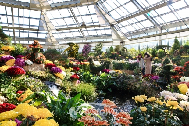 국화 전시장(산수경온실)