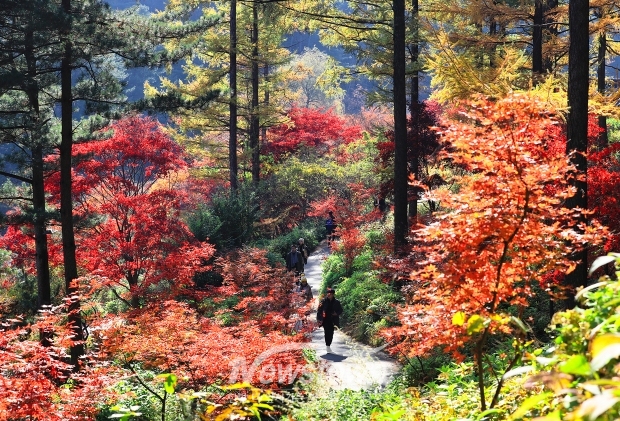 아침고요수목원 산책길