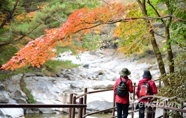 /사진=남원 지리산(남원시 제공)